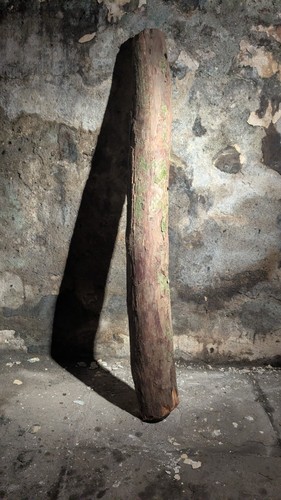 Large yew stave raw timber - yew,